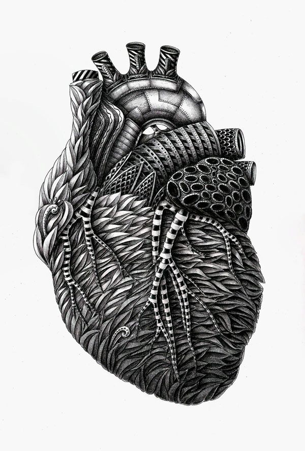 600x886 Meticulously Detailed Drawings Of Surreal Human Anatomy - Detailed Heart Drawing