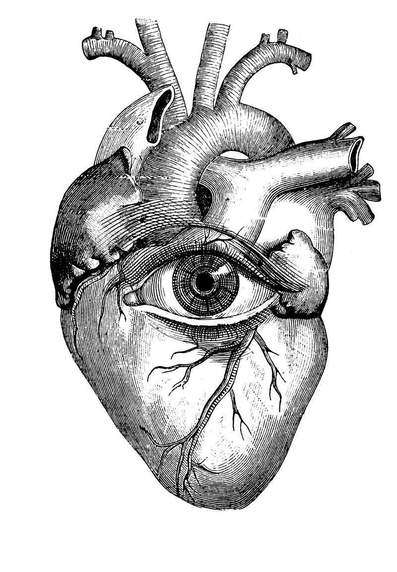 800x1152 Drawings Art, Illustration Art, Drawings - Detailed Heart Drawing