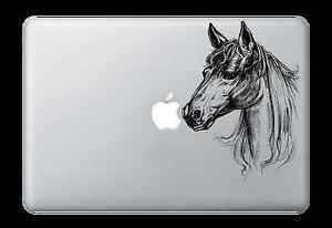 300x206 Horse Detailed Hand Drawn Decal Sticker Apple Mac Airpro Dell - Detailed Horse Drawing