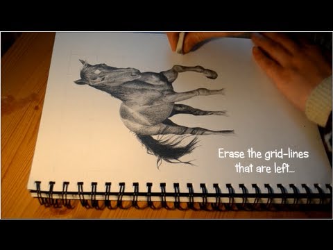 480x360 How To Draw A Realistic Horse - Detailed Horse Drawing