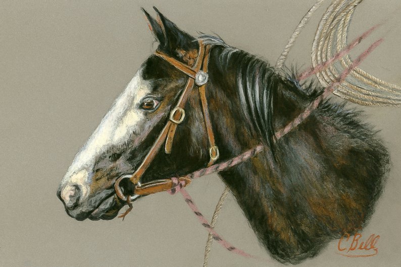 794x530 New Pastel Quarter Horse Drawing Cow Pony Drawing In Pastel Etsy - Detailed Horse Drawing