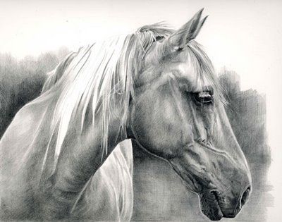 400x315 Pin On Tattoos - Detailed Horse Drawing