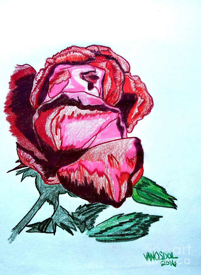 Detailed Rose Drawing at Explore collection of