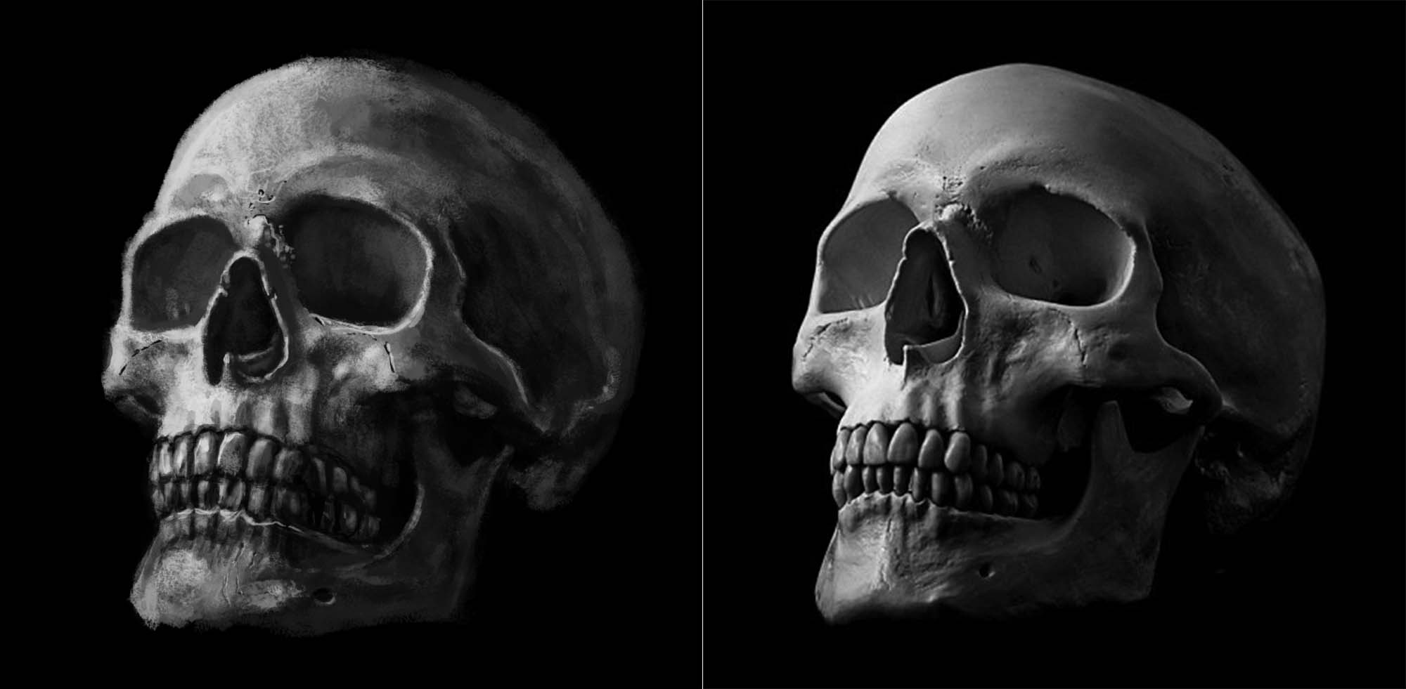 2000x981 practicing drawing skulls art criticism - Detailed Skull Drawing