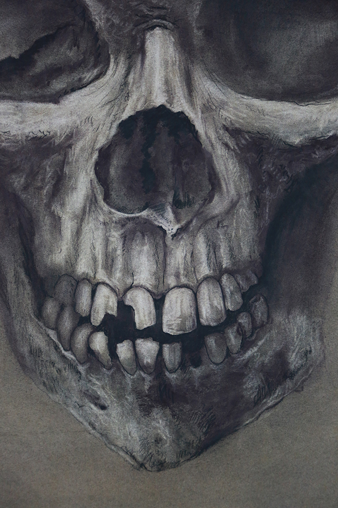 680x1020 skull drawings jesse payne - Detailed Skull Drawing