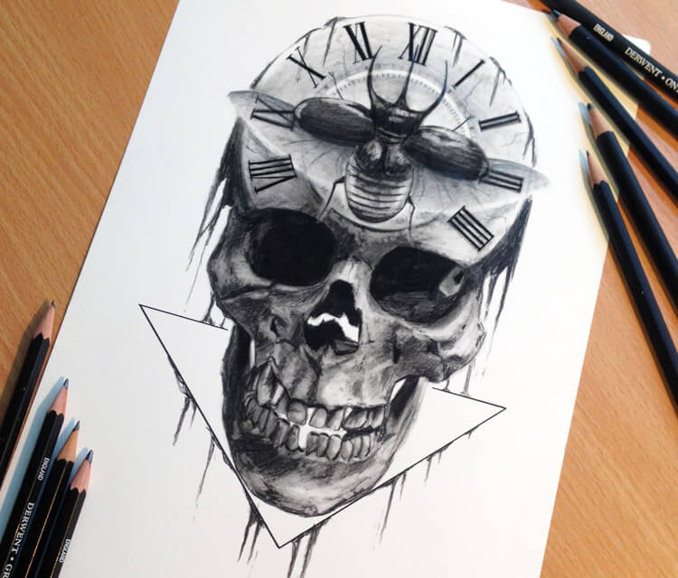 750x640 Skull Drawing - Detailed Skull Drawing