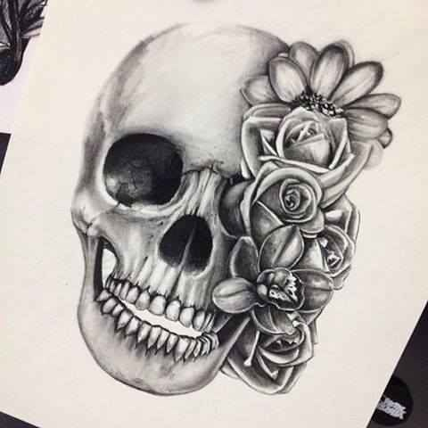 480x480 Skull Drawing Discovered - Detailed Skull Drawing