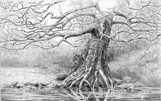 615x385 Pencil Drawing Of Trees - Detailed Tree Drawing