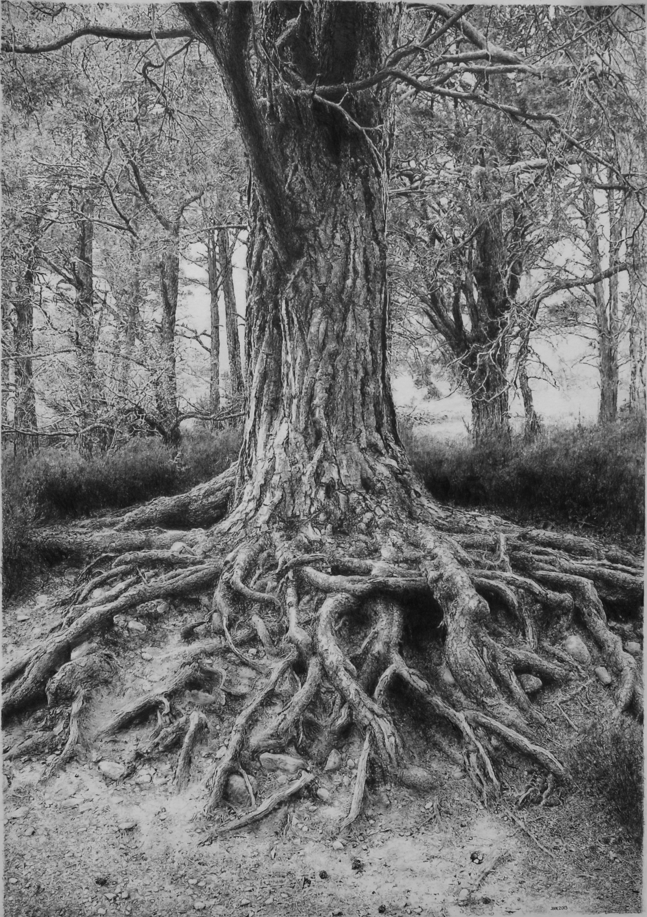 2141x3033 incredibly detailed pencil artwork - Detailed Tree Drawing