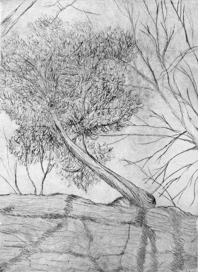 657x900 determination drawing - Determination Drawing