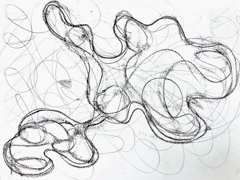 800x600 self determination tomaso carnetto - Determination Drawing