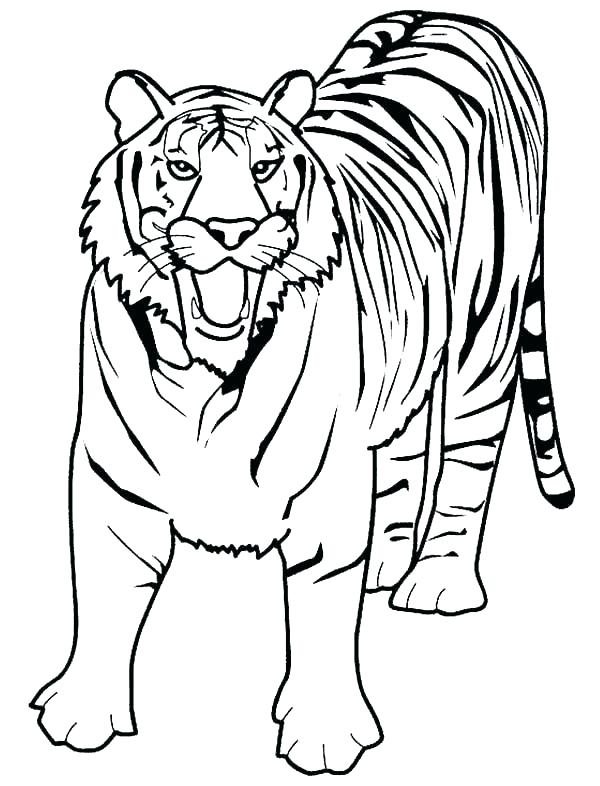 600x786 detroit tigers coloring pages of tiger logo - Detroit Tigers Drawing