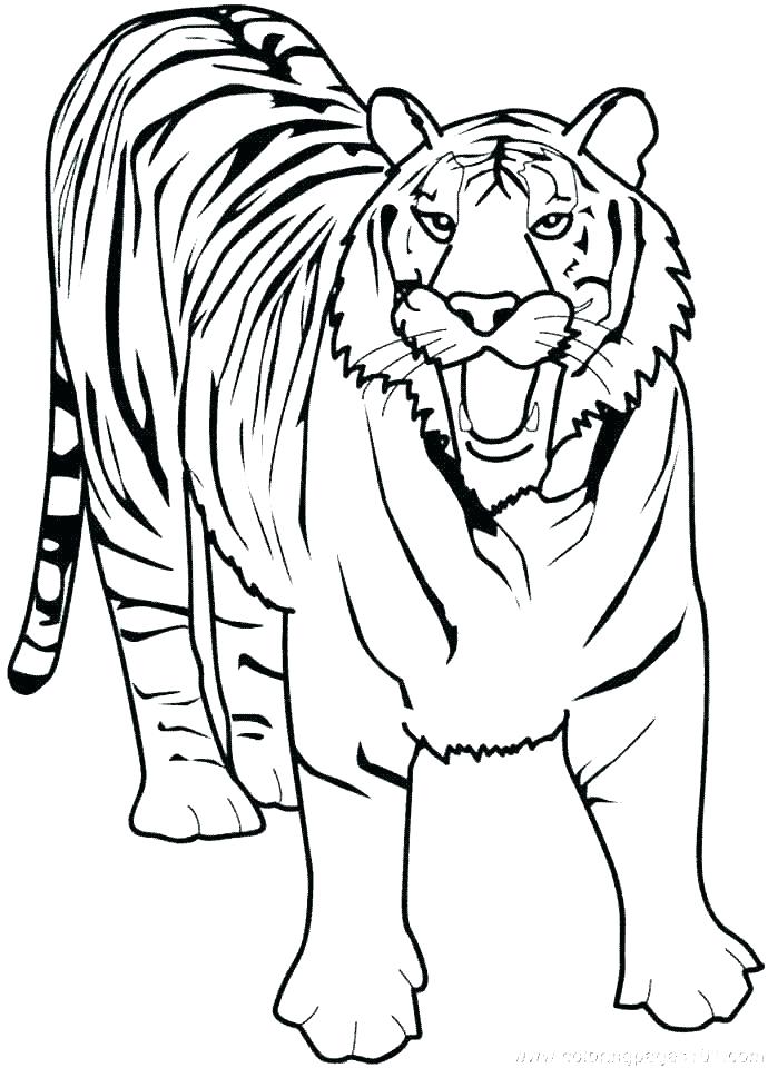 690x960 ravishing detroit tigers coloring pages free colouring to cure - Detroit Tigers Drawing