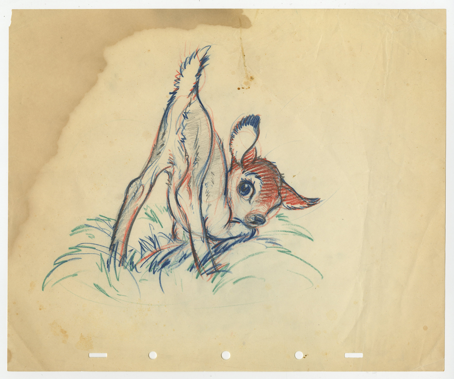 900x752 bambi production development drawing - Development Drawing