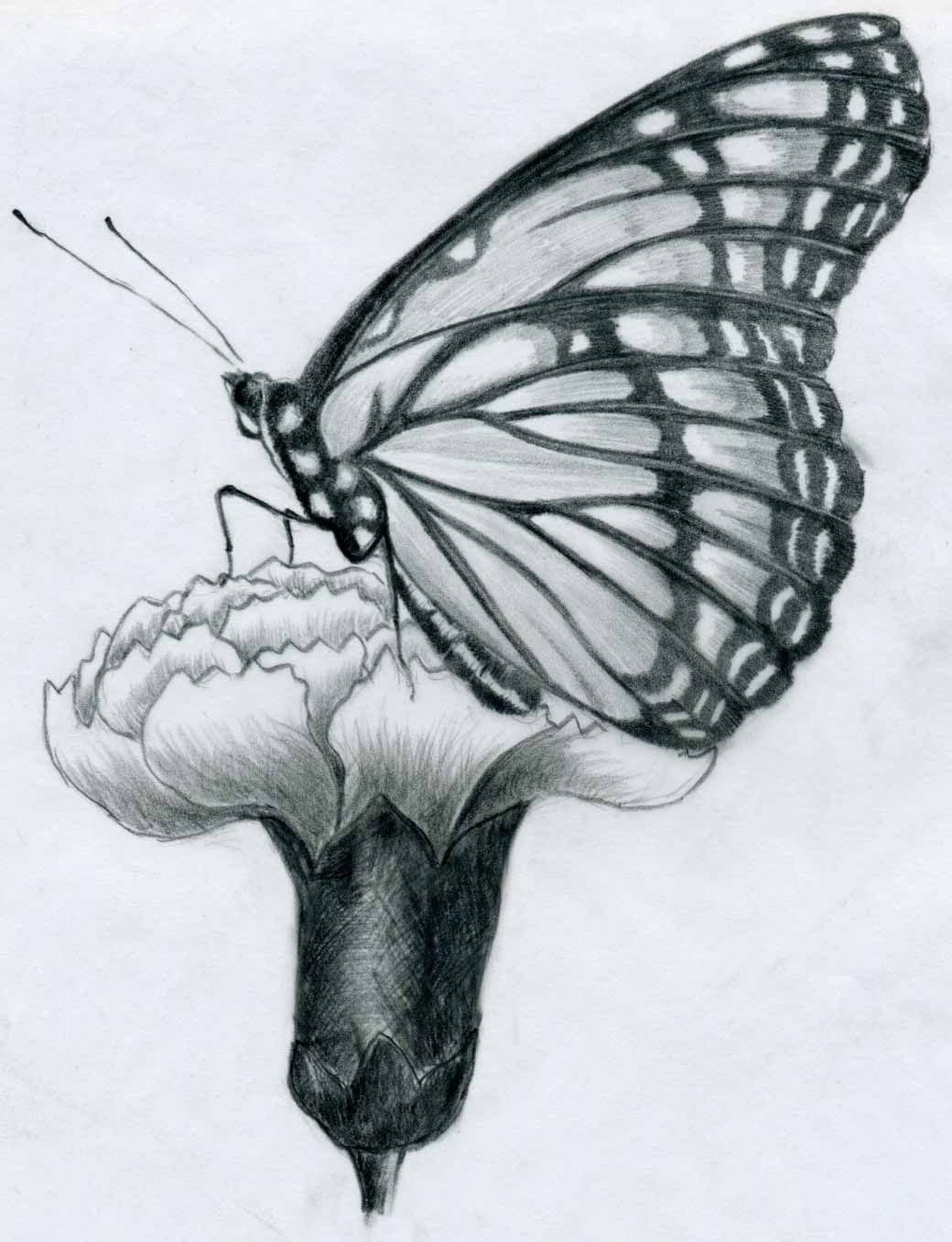 1040x1357 Easy Pencil Shading Drawings Flower And Martenator - Deviantart Drawings