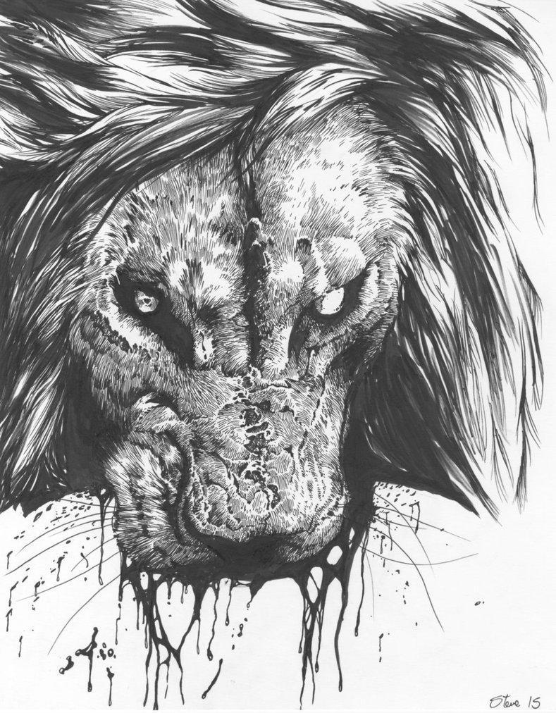789x1012 Lion Drawing For Free Download - Deviantart Drawings