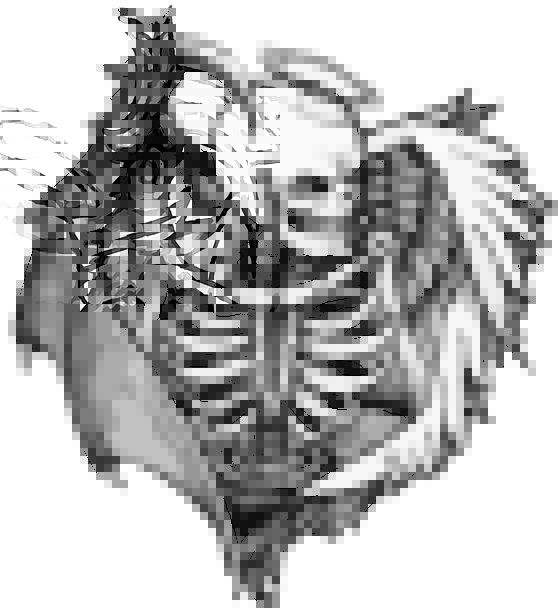 558x609 Devil Drawing Skeleton For Free Download - Devil Angel Drawing