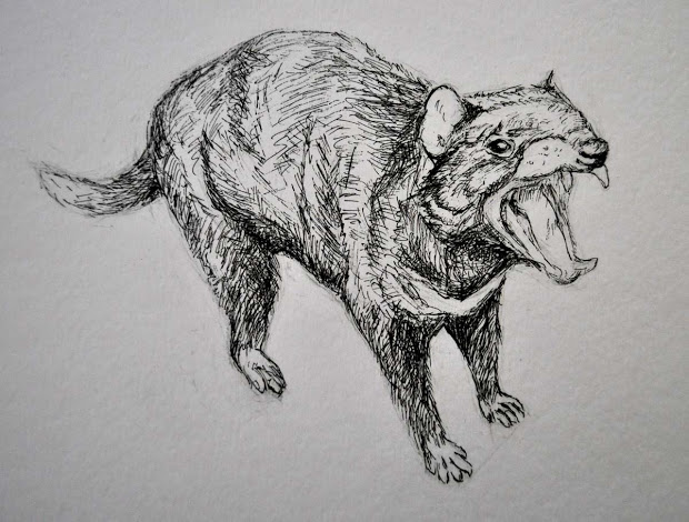 620x470 Tasmanian Devil Angel Drawing - Devil Angel Drawing