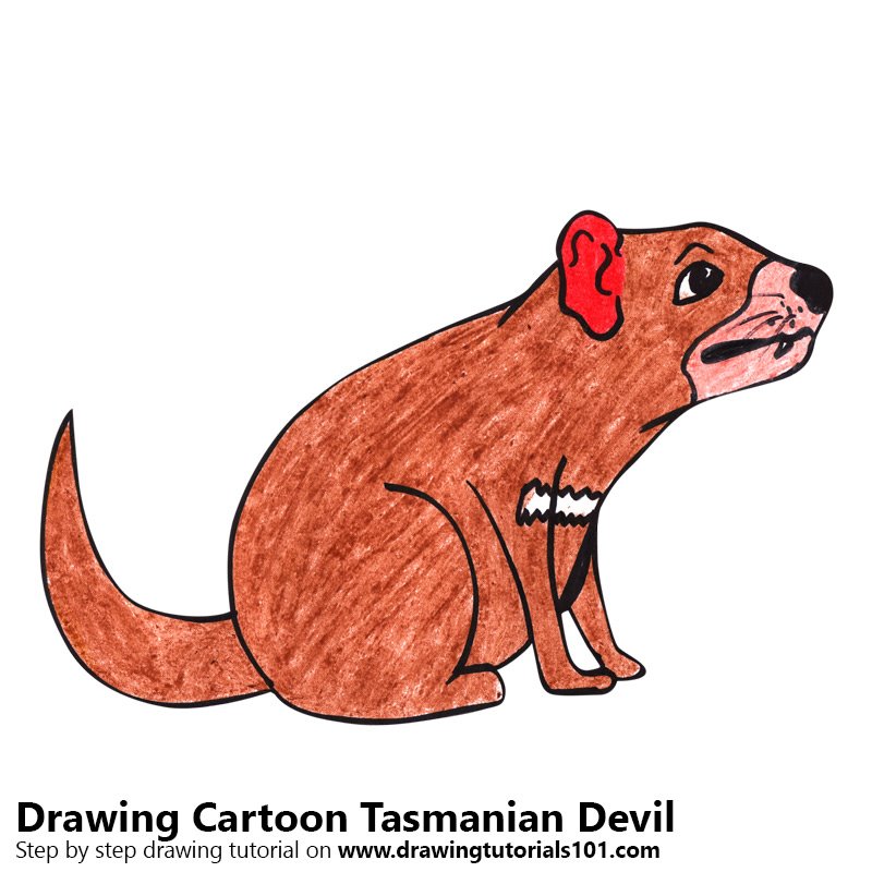 800x800 Learn How To Draw A Cartoon Tasmanian Devil - Devil Cartoon Drawing