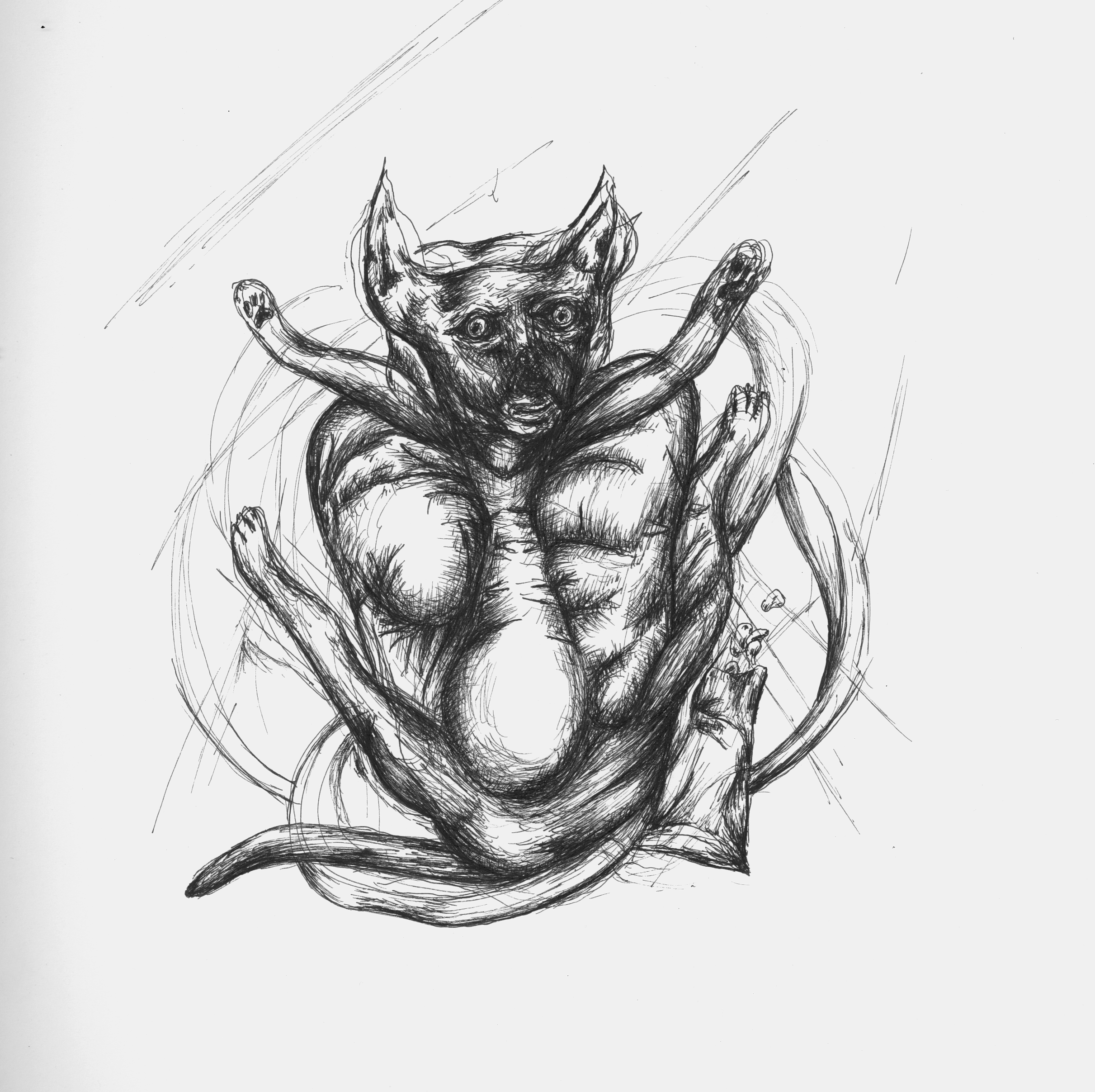 2422x2414 Dogs Ink Icon Design - Devil Dog Drawings