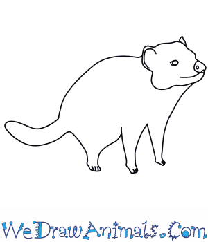 300x350 How To Draw A Tasmanian Devil - Devil Drawing Images