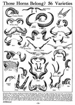 250x347 animals joke satan devil goat horns occult horn devil horns - Devil Horns Drawing