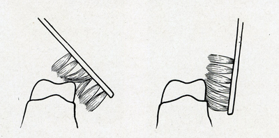 400x198 Fig Diagrammatic Drawing - Diagrammatic Drawing