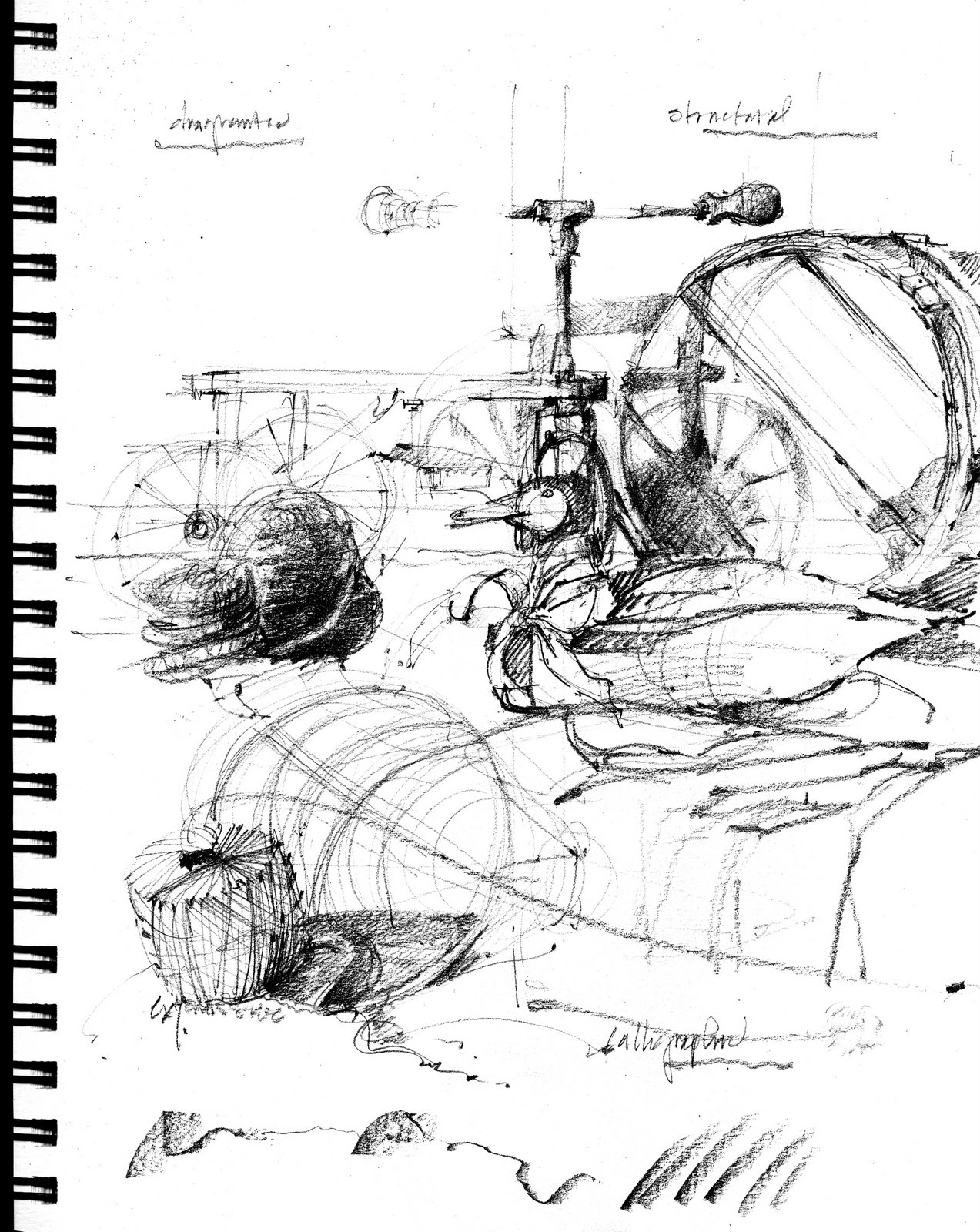 1273x1600 Still Life Diagrammatic, Structural, Calligraphic, Expressive - Diagrammatic Drawing