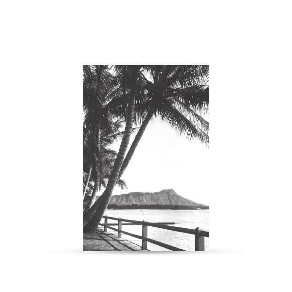 600x600 Diamond Head Postcard Soha Living - Diamond Head Drawing