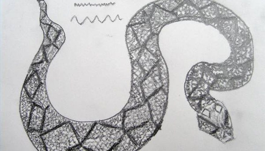 877x500 How To Draw A Diamondback Rattlesnake Our Pastimes - Diamondback Rattlesnake Drawing