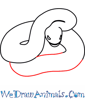 300x350 How To Draw A Eastern Diamondback Rattlesnake - Diamondback Rattlesnake Drawing