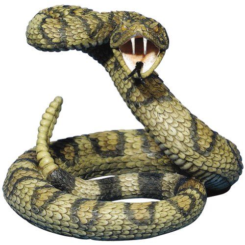 500x500 Famu Snake Drawing, Snake, Rattlesnake - Diamondback Rattlesnake Drawing