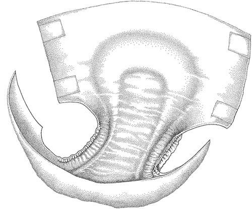 500x414 rely breathable briefdiaper - Diaper Drawing