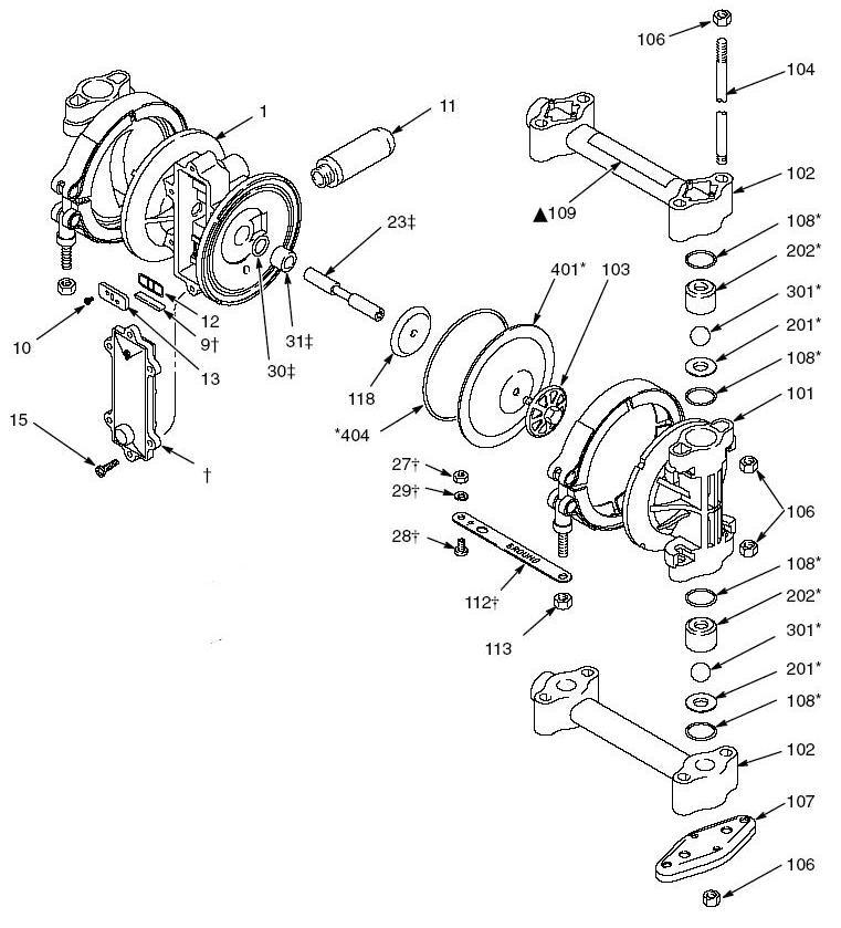 761x839 Graco Husky Diaphragm Pump Fluid Kit - Diaphragm Drawing