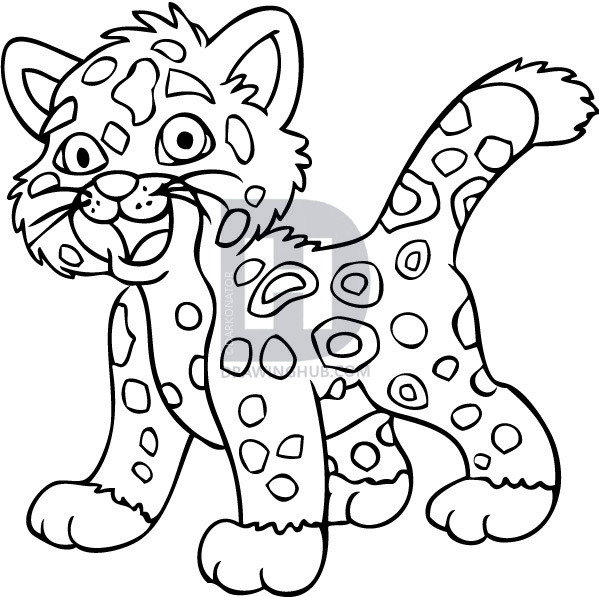 599x597 How To Draw Baby Jaguar From Go Diego, Step - Diego Drawing