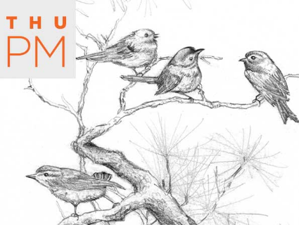 425x320 Drawing For Beginners Workshop - Diego Drawing