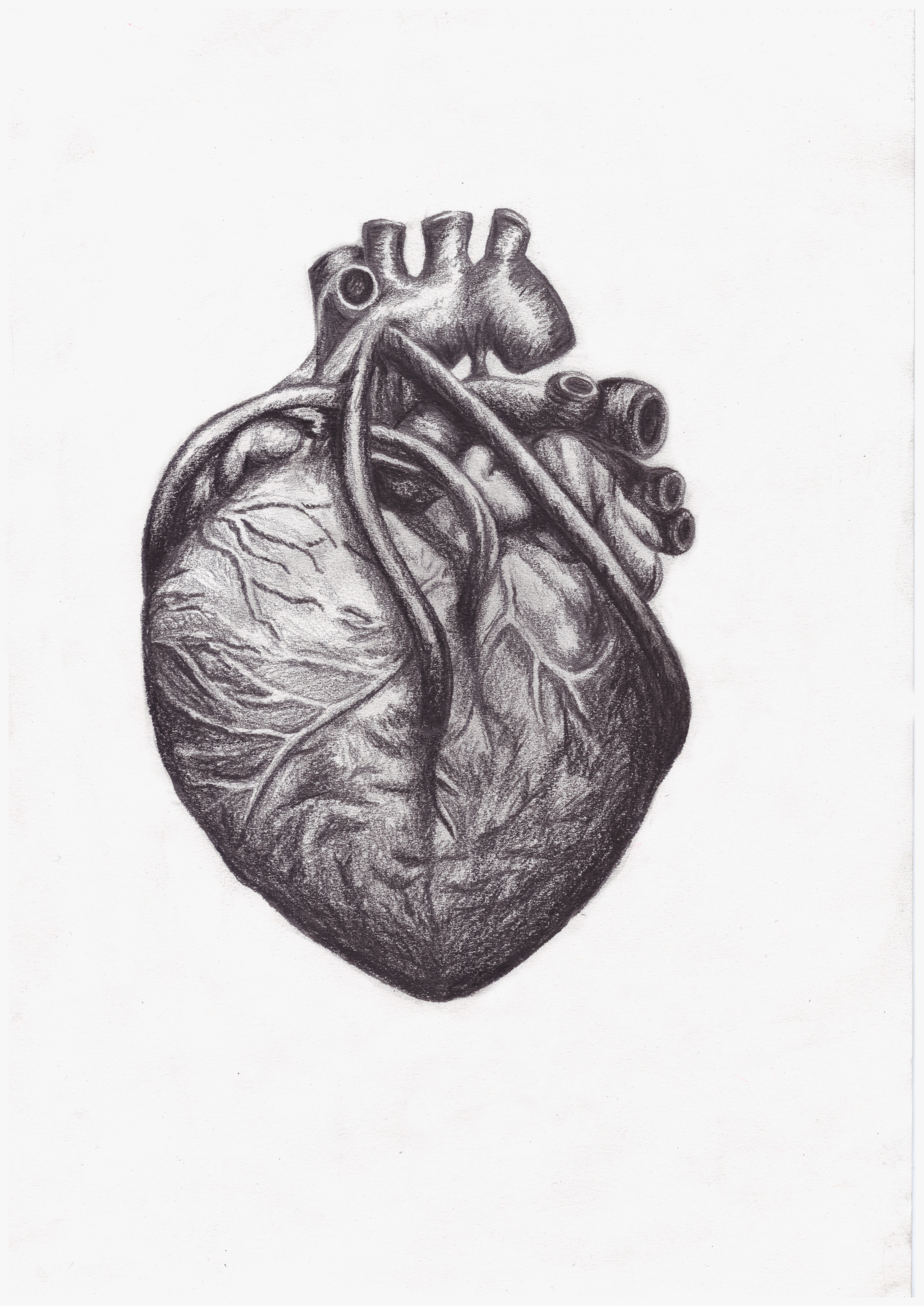 4962x7014 Drawings Smedeland - Different Drawings