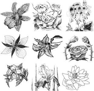 309x300 how to draw different types of flowers art drawings, flowers - Different Drawings