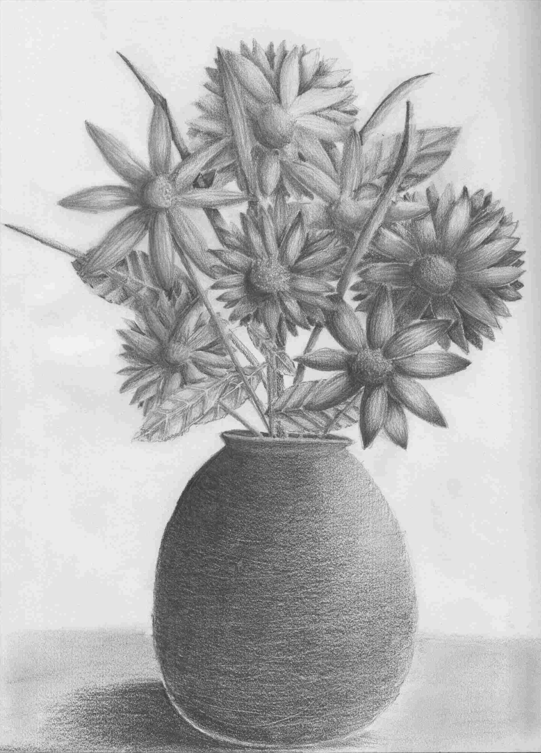 1899x2643 rhtimelineslikecom different flowers in pencil sketch designs - Different Drawings