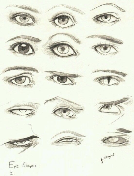 551x720 Eye Shapes Colors Contrast - Different Types Of Eyes Drawing