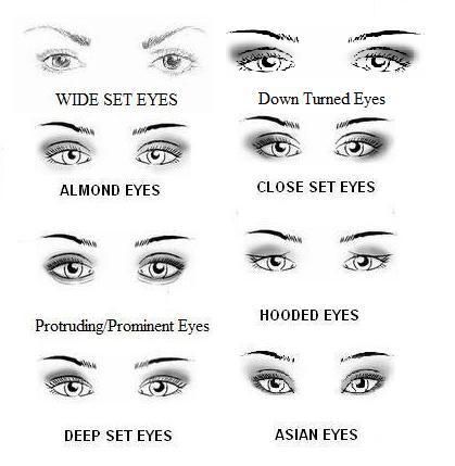 419x429 drawing different types of eyes - Different Types Of Eyes Drawing