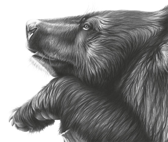 550x466 How To Develop A Focal Point - Difficult Drawings