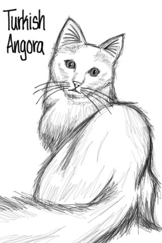 320x480 My First Catanimal Drawing That I'm Proud It's Difficult For Me - Difficult Drawings
