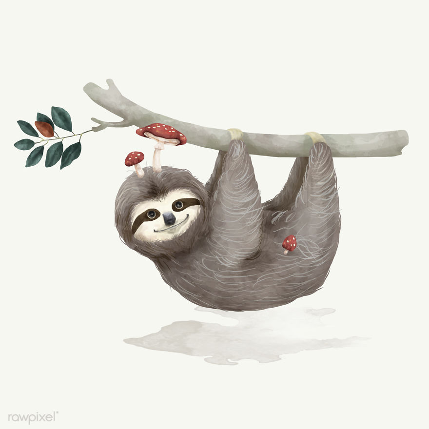 880x880 I Created Digital Drawings Of Adorable Animals And Made - Digital Drawing Free