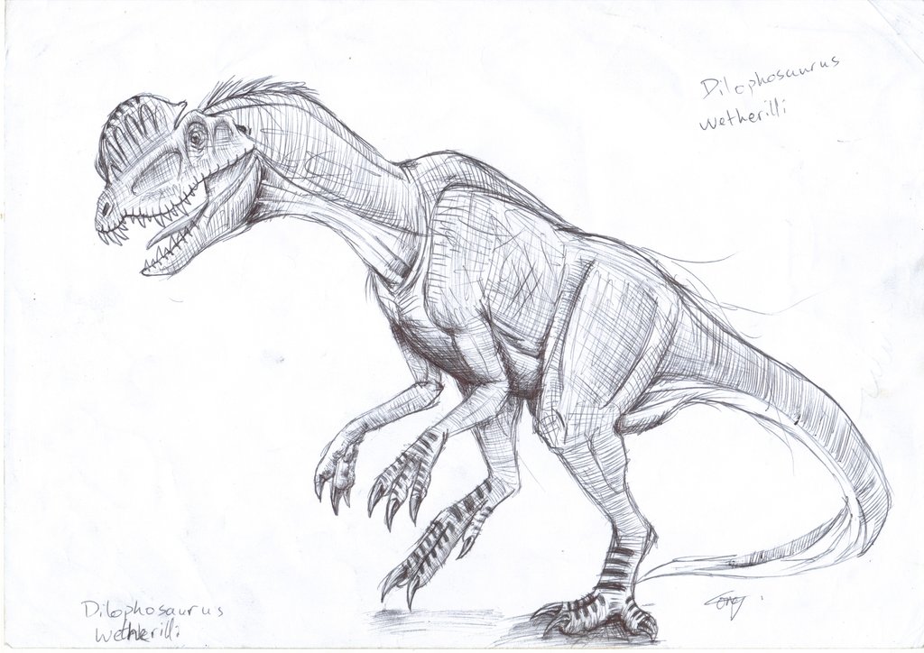 jurassic park dilophosaurus drawing