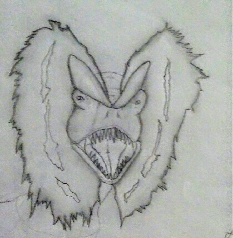 885x903 dilophosaurus drawing - Dilophosaurus Drawing