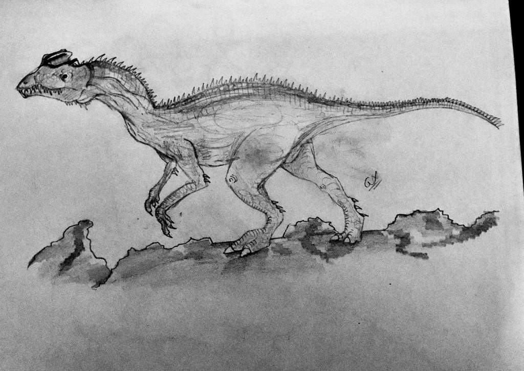 1024x725 dilophosaurus drawing prehistoric amino - Dilophosaurus Drawing