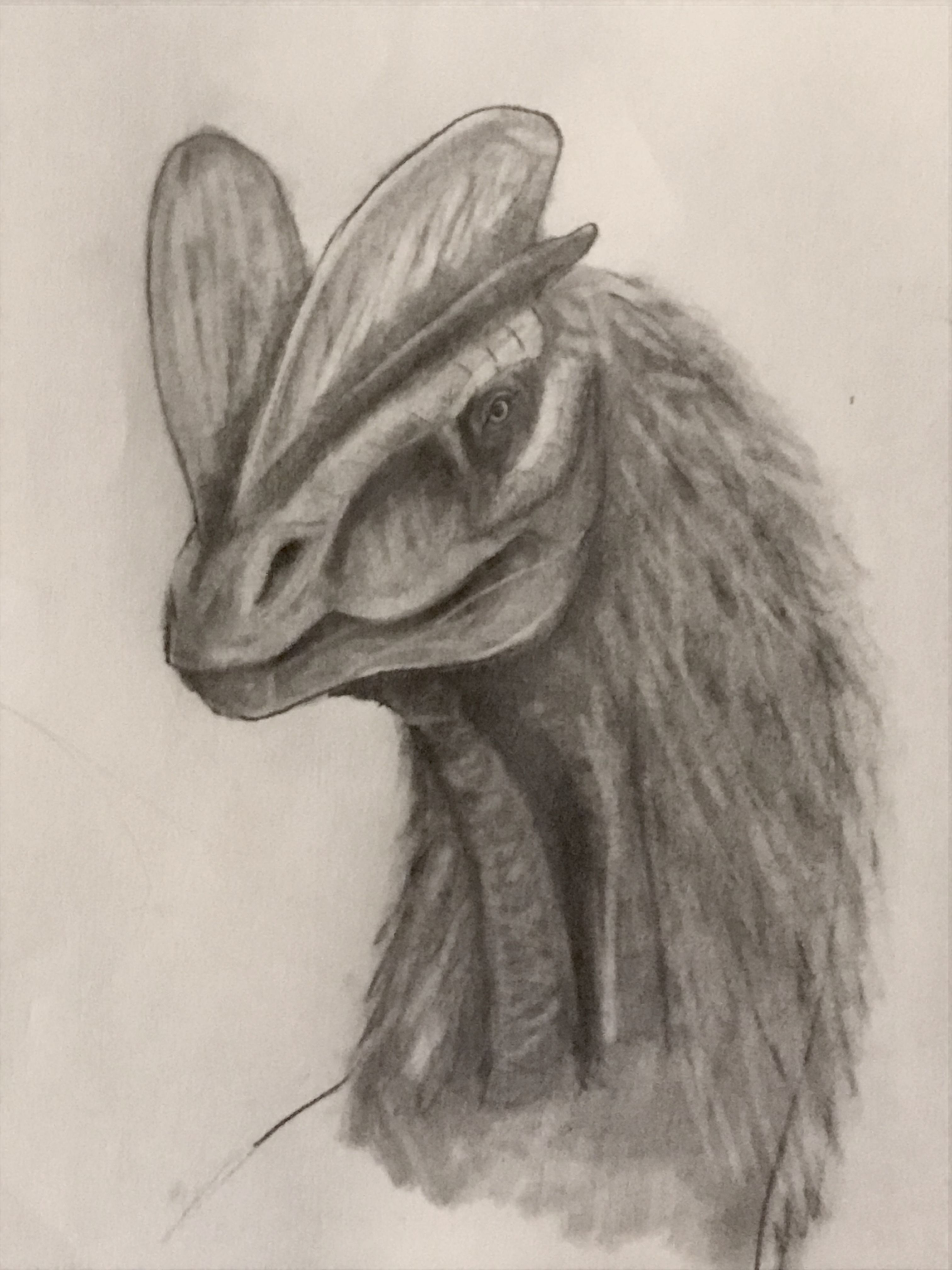 3024x4032 dilophosaurus drawing i did jurassic park drawings, sketches - Dilophosaurus Drawing