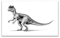 250x160 how to draw dilophosaurus cartoon drawing step - Dilophosaurus Drawing