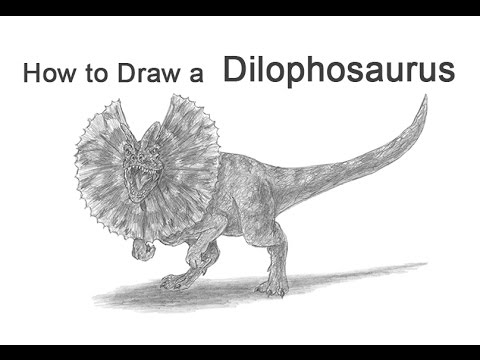 480x360 how to draw a dilophosaurus from jurassic park - Dilophosaurus Drawing